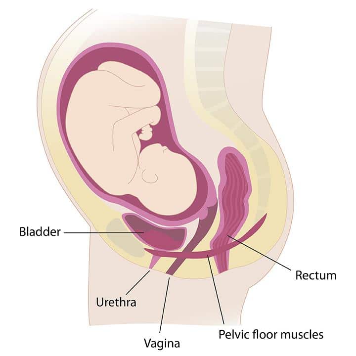 Vaginal Rejuvenation