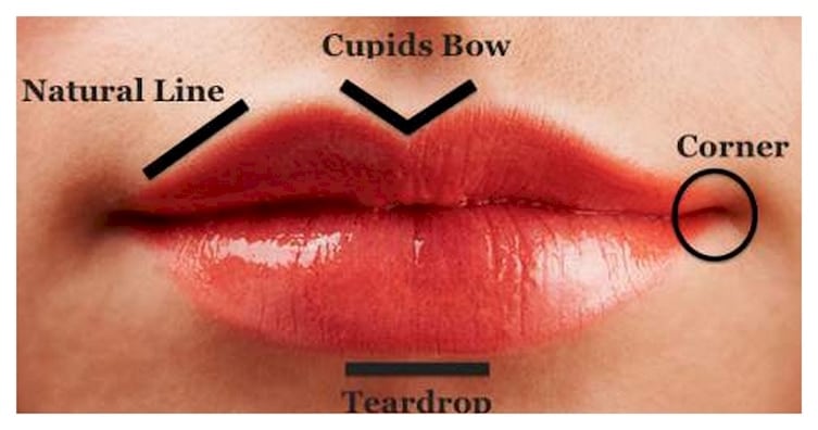 cupid's bow lips