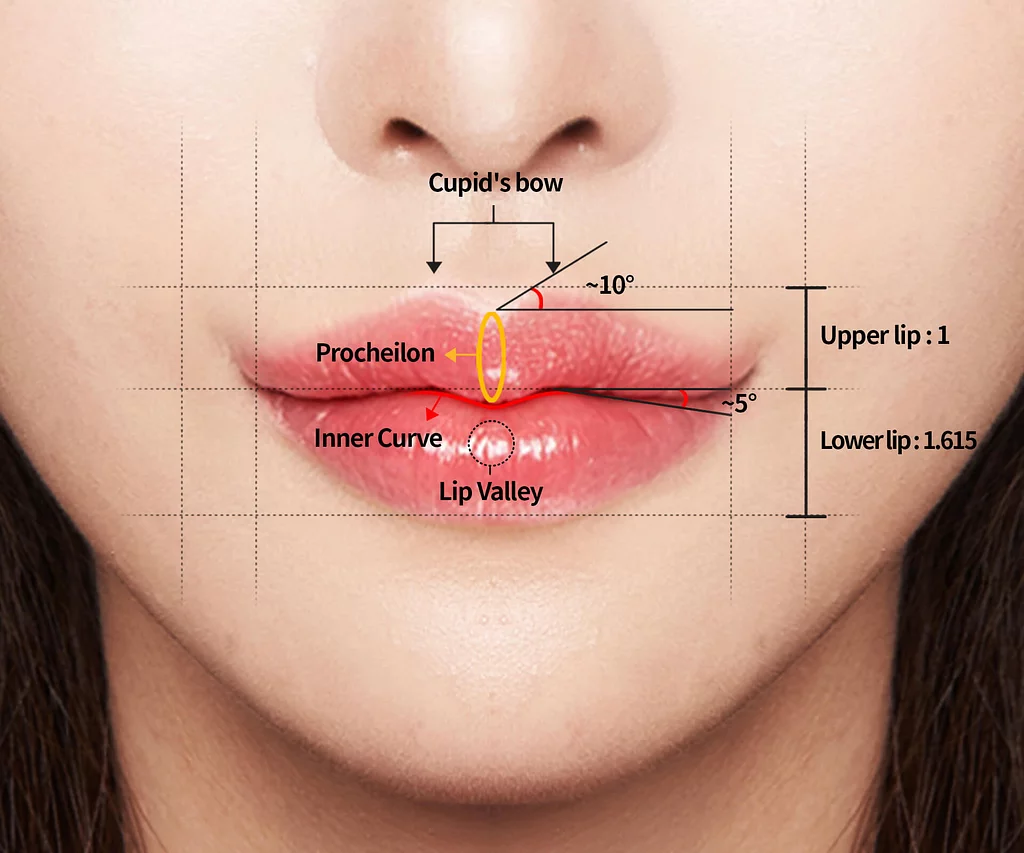 korean-golden-lip-ratio-hyundai-aesthetics