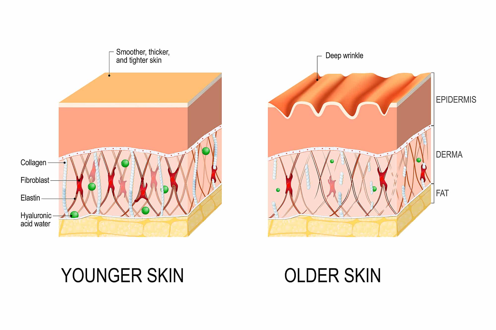 What are Skin Boosters