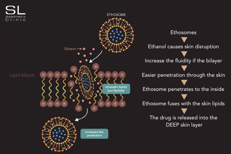 Gold PTT treatment skin penetration: an image demonstrating the process of ethosomes penetrating the skin barrier to deliver active ingredients, showing the lipid bilayer structure of the nanoparticles fusing with the cell membrane for enhanced absorption and efficacy.