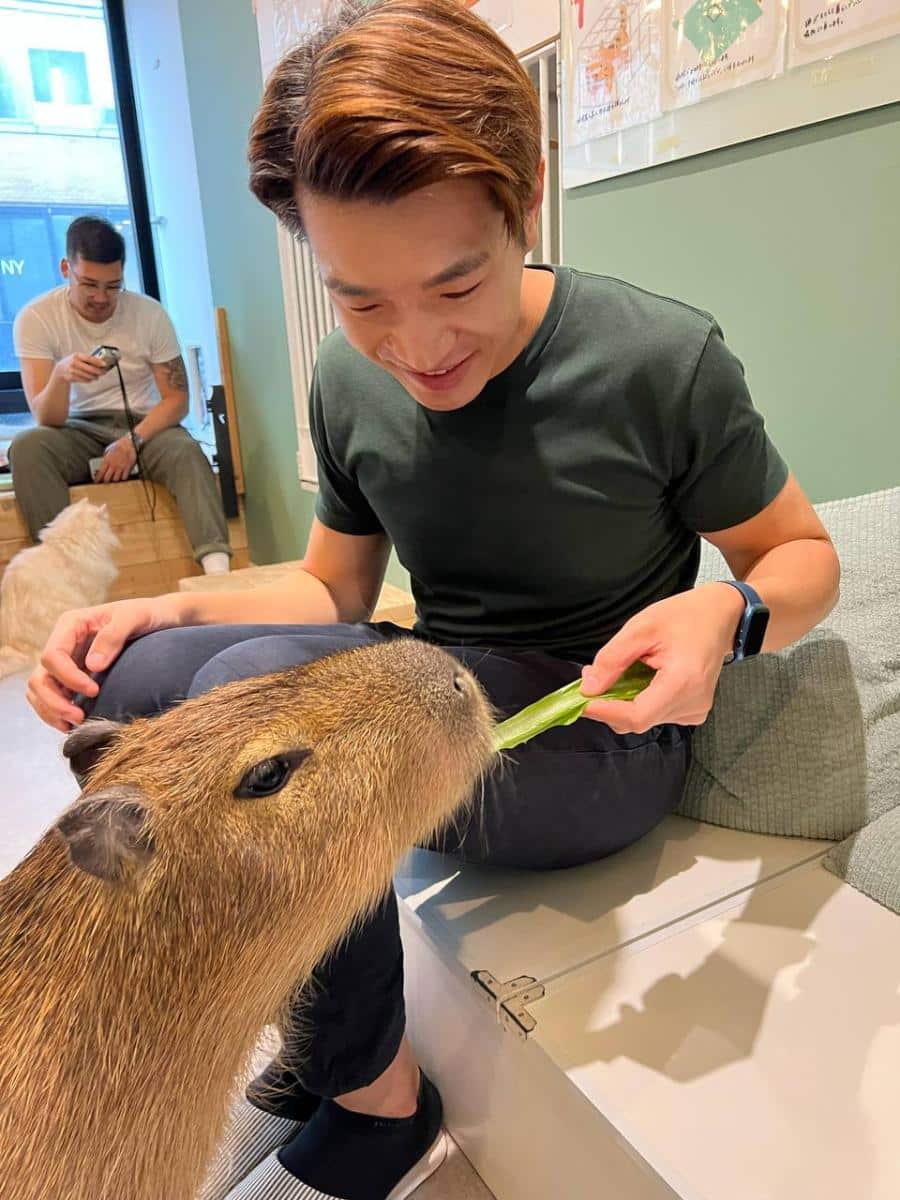 dr chen (3)